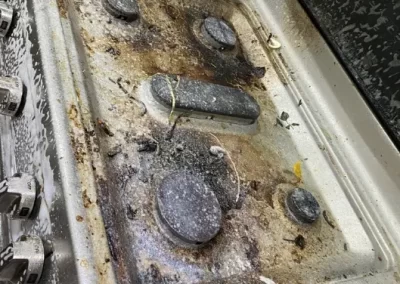 Professional House Cleaning